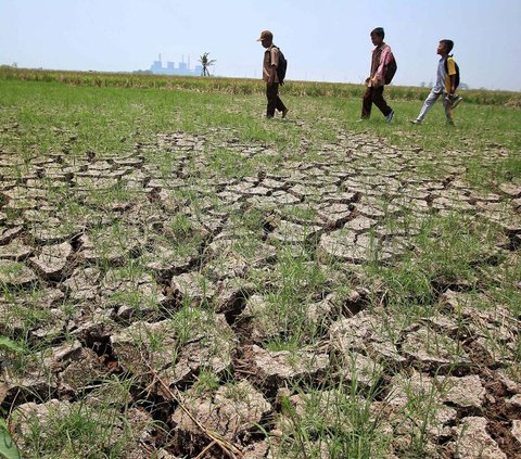 Pemerintah Kabupaten (Pemkab) Tangerang, Provinsi Banten menetapkan status siaga bencana kekeringan akibat musim kemarau berkepanjangan sebagai dampak dari fenomena El Nino.<br style=