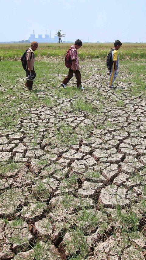 Sementara itu, Kepala BPBD Kabupaten Tangerang Ujat Sudrajat menambahkan bahwa pihaknya kini mulai memetakan wilayah rawan kekeringan akibat kemarau panjang sebagai dampak El Nino.<br>