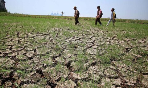 FOTO: Musim Kemarau, Kabupaten Tangerang Tetapkan Siaga Bencana Kekeringan