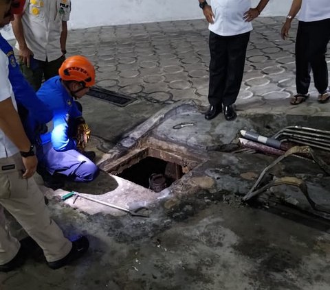 Tak Tahu Tempat, Ular Piton Bertelur Puluhan Butir di Kantor Gubernur Riau Bikin Warga Merinding