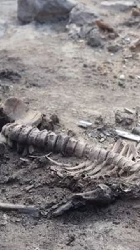 Temuan Kulit dan Otak Manusia dari Zaman Perunggu di Turki Ungkap Tragedi Mengenaskan 2.700 Tahun Silam<br>
