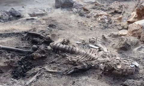 Temuan Kulit dan Otak Manusia dari Zaman Perunggu di Turki Ungkap Tragedi Mengenaskan 2.700 Tahun Silam