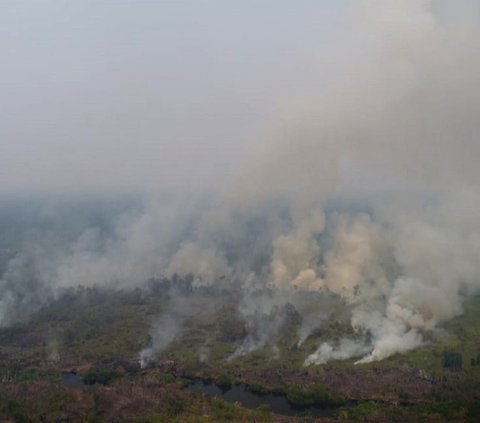 Potret Ratusan Siswa Terpaksa Pakai Masker Imbas Jambi Diselimuti Kabut Asap