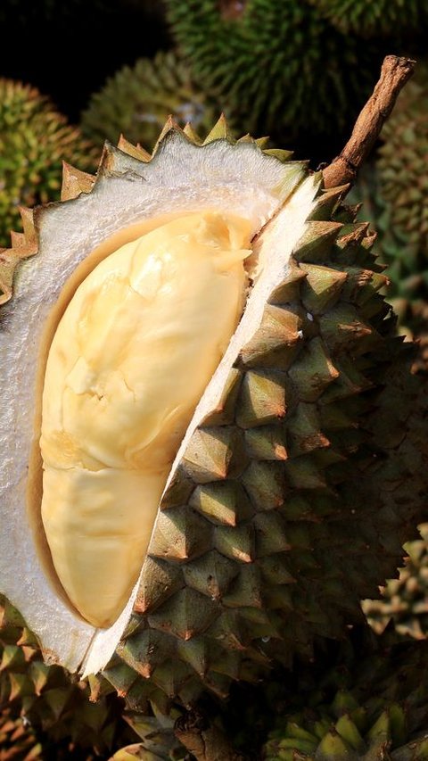 Otak Licik Penjual Durian Bikin Tercengang Pakai Alat Suntik 'Hasilnya Memuaskan'