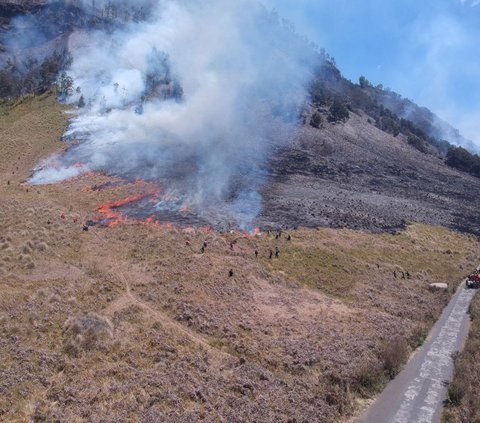 Bukit Teletubbies Bromo Terbakar Hebat Gara-Gara Acara Sesi Foto Prewedding, Pelakunya Langsung Diamankan