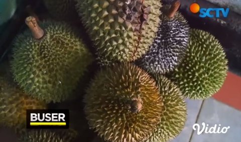 Sajikan Durian Matang Asli bagi Pelanggan yang Makan di Tempat