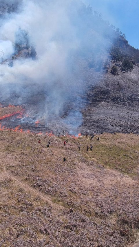 Bukit Teletubbies Terbakar Gara-Gara Flare Sesi Foto Prewedding, Wisata Gunung Bromo Ditutup Total<br>