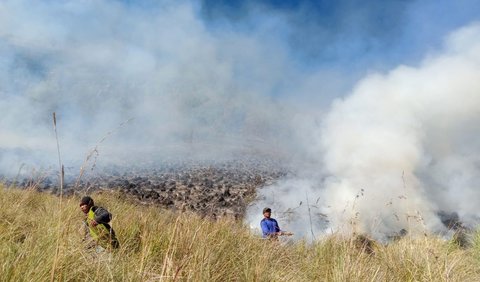 Tetapi, kronologi kebakaran belum dijelaskan secara rinci.<br>