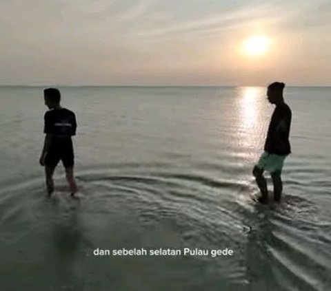 Nikmat dan Banyak Khasiat, Begini Serunya Berburu Bulu Babi di Pulau Gede Rembang