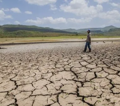 Fenomena El Nino Diperkirakan Bertahan hingga Pertengahan 2024, Ini Penjelasan Pakar
