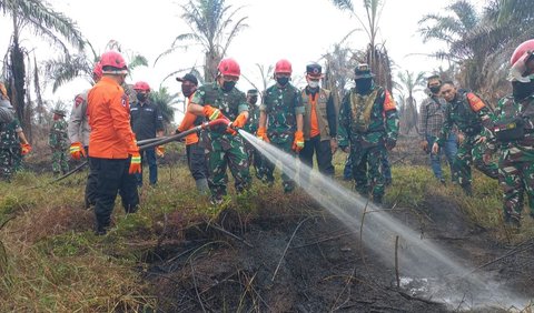 Sedangkan untuk luasan lahan yang terbakar, kata Dudung, secara total lahan yang terbakar yaitu 540 hektare. Ada lahan masyarakat dan perusahaan juga ikut terbakar<br>