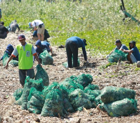 Pemkab dan Sungai Watch Gelar Aksi Big Clean Up di Pantai Muncar Banyuwangi