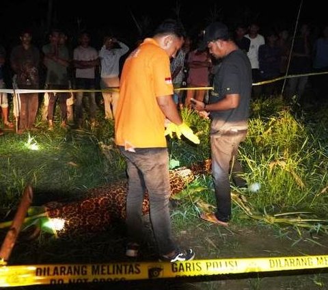 Warga Aceh Utara Ditemukan Tewas dengan Luka Sobek Sekujur Tubuh, Ini Dugaan Sementara