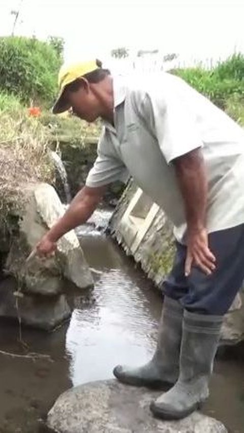 Heboh Temuan Belasan Alquran Dibungkus Kain di Saluran Irigasi Lereng Gunung Semeru<br>