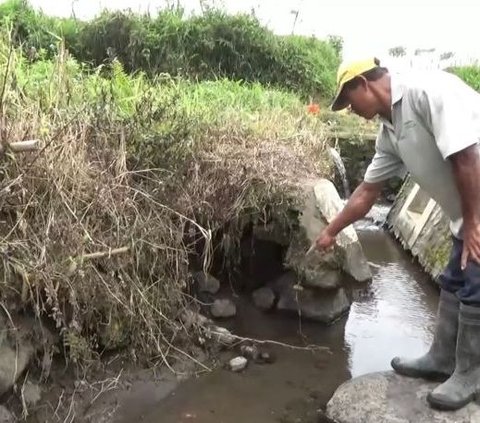 Heboh Temuan Belasan Alquran Dibungkus Kain di Saluran Irigasi Lereng Gunung Semeru