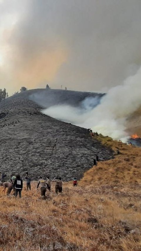 Kebakaran Bukit Teletubbies Bromo Diduga Akibat Flare Prewed, Manajer Wedding Organizer jadi Tersangka