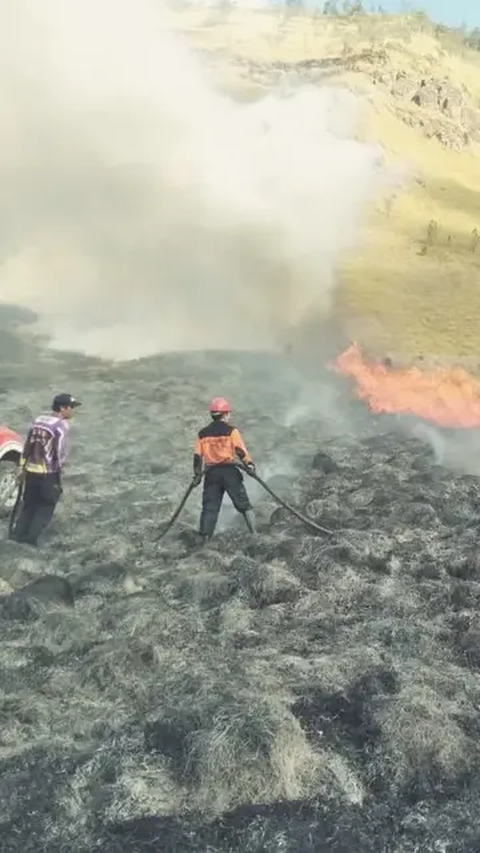 Apa Itu Flare, Pemicu Kebakaran Bukit Teletubbies Bromo saat Foto Prewed <br>