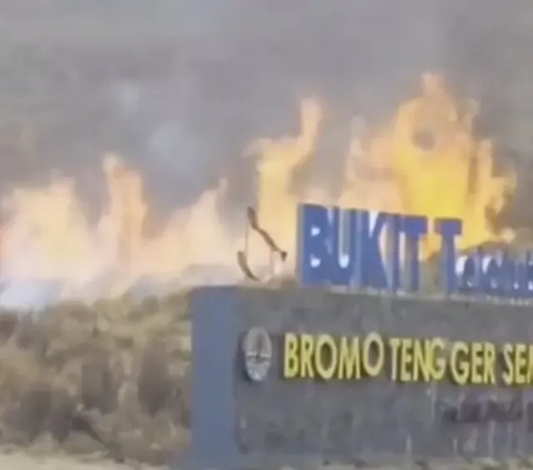 Apa Itu Flare, Pemicu Kebakaran Bukit Teletubbies Bromo saat Foto Prewed