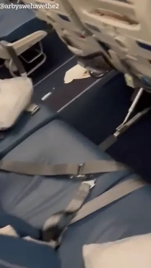 Emergency Landing After Passenger with Severe Diarrhea, Disgusting Cabin View