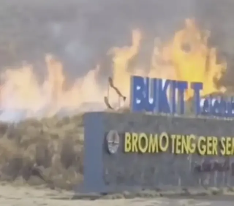 Update Kebakaran Gunung Bromo Gara-Gara 'Flare Prewedding': Api Masih Menyala di Sejumlah Titik