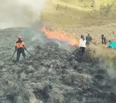 Wisata Gunung Bromo Tutup Total karena Kebakaran Dipicu Flare Prewedding, Bagaimana Nasib Sudah Beli Tiket?