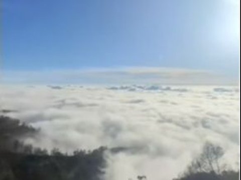 Menakjubkan, Warung ini Sajikan Pemandangan bak Kualitas 4K, Lokasinya di Atas Awan