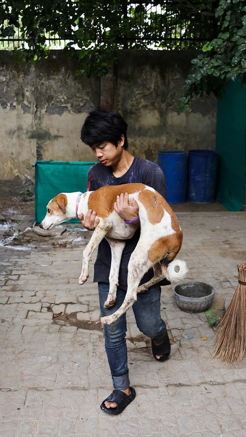 Dilansir Reuters, Perusahaan Kota Delhi (MCD) tidak secara langsung menghubungkan pemburuan anjing liar dengan pertemuan puncak tersebut. <br>