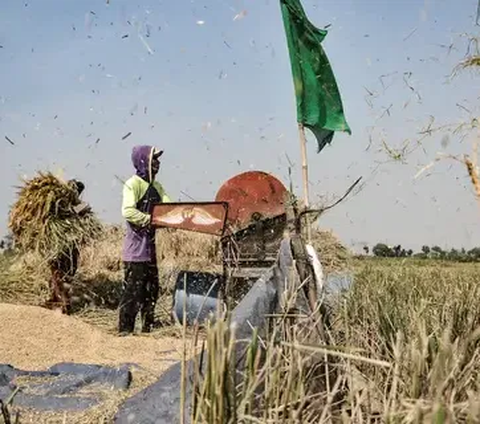 Program D’Komposer Ternyata Ampuh Tingkatkan Hasil Pertanian, Begini Cara Kerjanya