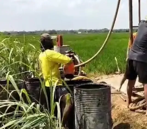 Program D’Komposer Ternyata Ampuh Tingkatkan Hasil Pertanian, Begini Cara Kerjanya