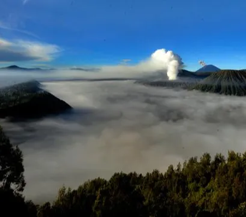 Heboh Kebakaran Karena Prewed, Ini Cara Izin Resmi Foto Nikah di Gunung Bromo