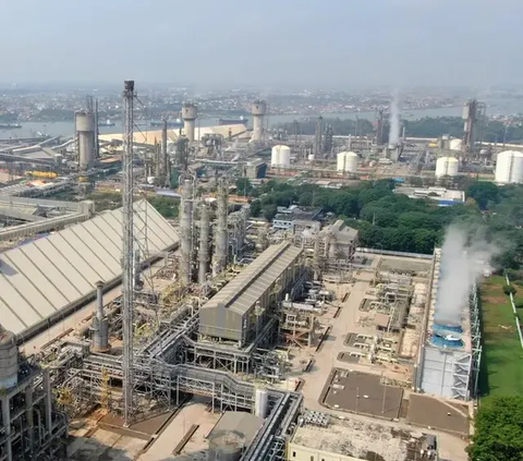 Begini Cara Perusahaan BUMN Siapkan SDM Sesuai Kebutuhan Industri