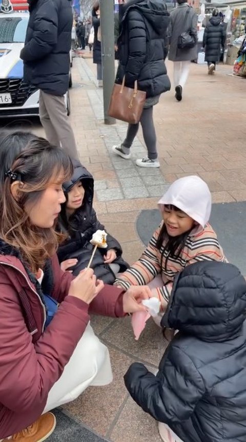 Foto-foto Keseruan Surya Insomnia dan Keluarga Liburan ke Korea Selatan, Bikin Istri dan Anak-anak Happy