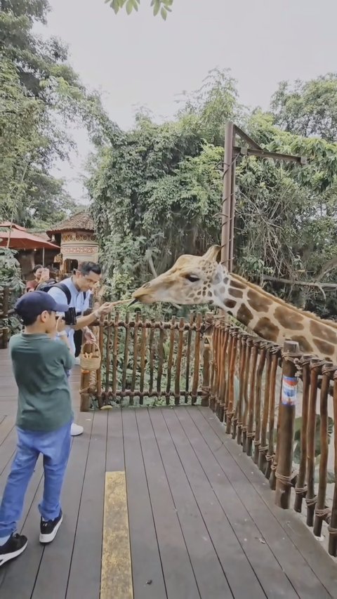 Hamil Anak Ketiga, ini Potret Keseruan Alyssa Soebandono dan Keluarga Liburan ke Bali di Momen Ultah ke-32