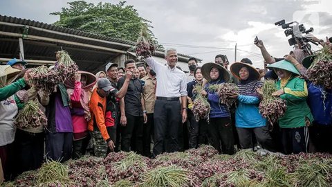 Calon presiden nomor urut 3, Ganjar Pranowo mengangkat bawang merah saat bertemu dengan para petani di Desa Kertabesuki, Kecamatan Wanasari, Kabupaten Brebes, Provinsi Jawa Tengah, Rabu (10/1/2024).