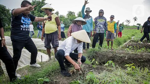 FOTO: Momen Ganjar Dengar Curhatan Petani Bawang Merah di Brebes