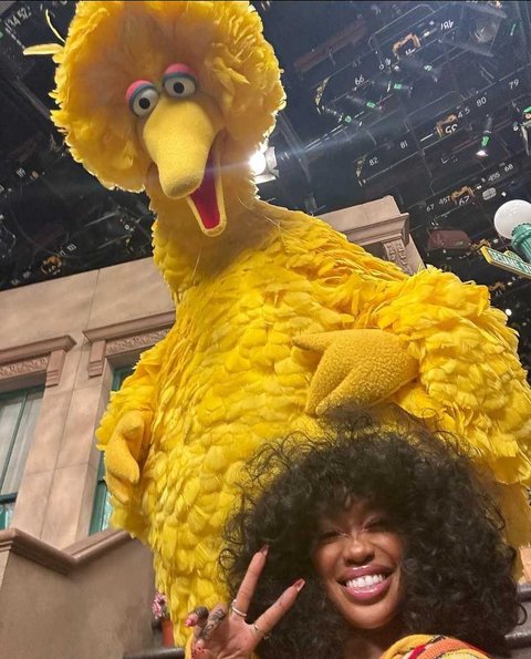 Jambul Big Bird Mirip Rambut SZA