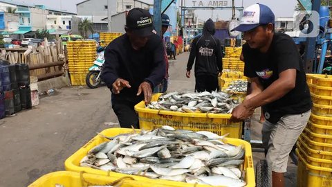 FOTO: Tahun 2025, Indonesia Targetkan Produksi Perikanan Capai 24,58 Juta Ton