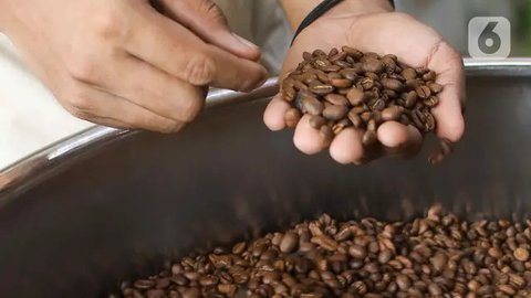 FOTO: Menggenjot Produktivitas Kopi Indonesia Agar Bisa Hasilkan 8-9 Ton per Hektar