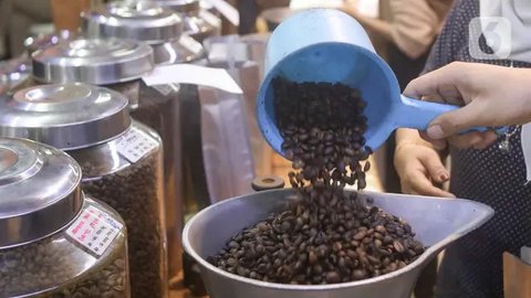 FOTO: Menggenjot Produktivitas Kopi Indonesia Agar Bisa Hasilkan 8-9 Ton per Hektar