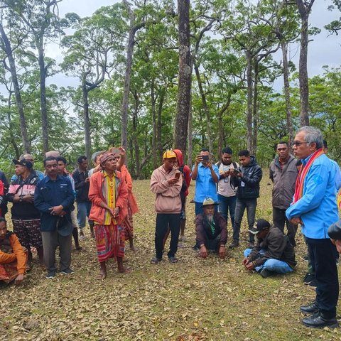 Mengenal Denda Adat Sopi dan Ayam Merah, Sanksi Bagi Perusak Hutan Dalam Kawasan Cagar Alam Mutis Timor Tengah Selatan