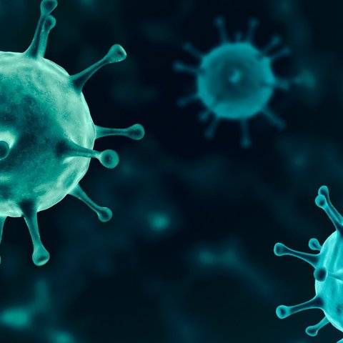 Kenali Pengertian Virus Oropouche, Gejala, serta Upaya Pencegahan yang Perlu Dilakukan