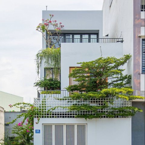 Desain Rumah Minimalis Ramah Lingkungan