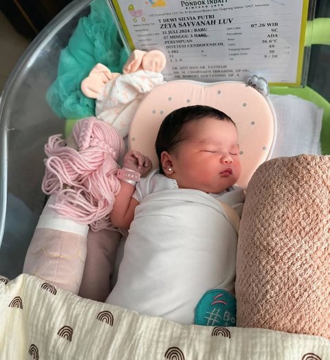 Miliki Paras Cantik Berwajah Bule, Ini Deretan Potret Baby Zeya Anak Tengku Dewi Putri dan Andrew Andika