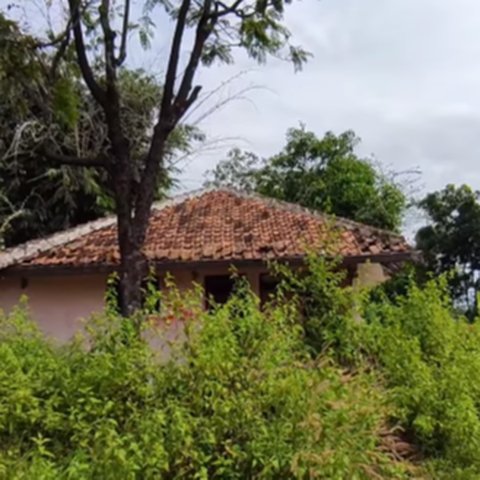 Bakal Dibangun Bendunga