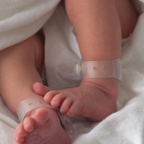 Ilustrasi bayi