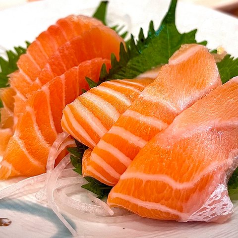 ikan salmon