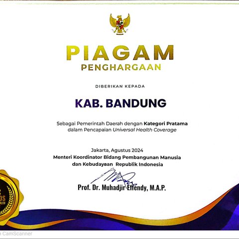 Bupati Bandung Raih Penghargaan UHC dari Wapres