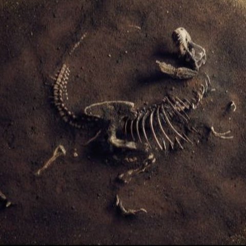 Arkeolog Temukan Fosil Dinosaurus Tertua yang Tersembunyi Jutaan Tahun