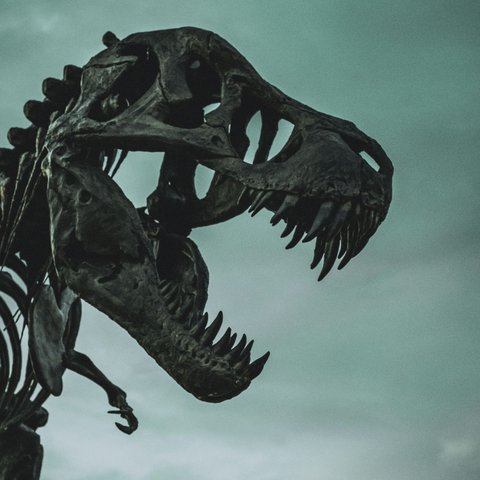 Para ahli paleontologi masih berusaha mengungkap misteri dinosaurus pertama di bumi ini. Yuk, simak penjelasan lengkapnya!