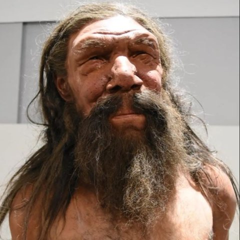 Manusia Neanderthal Terjepit di Dalam Gua Selama 150.000 Tahun dengan Posisi Tubuh Terbalik, Kerangkanya Belum Bisa Digali Hingga Kini